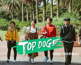 天堂鸟先生《TOP DOG》免费在线观看