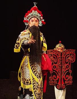 天天吃瓜《袁崇焕2009》免费在线观看