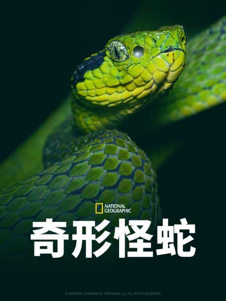 天天吃瓜《奇形怪蛇》免费在线观看